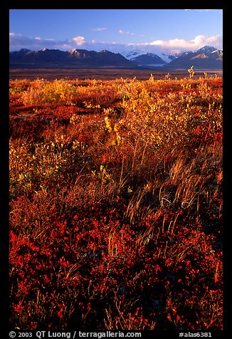 Tundra and mountains and sunset. Alaska, USA