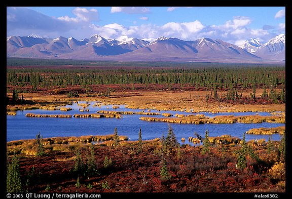 Kettle Lakes, tundra, and mountains. Alaska, USA