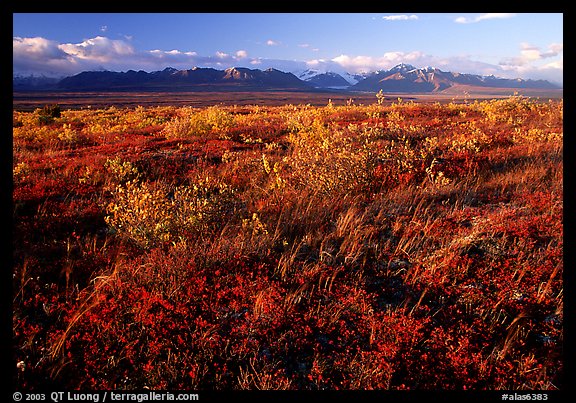 Tundra and mountains at sunset. Alaska, USA (color)