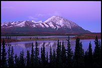 Purple mountains and lake at dusk. Alaska, USA ( color)
