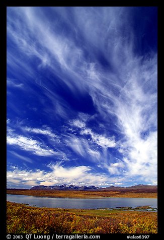 Big sky, clouds, tundra and lake. Alaska, USA (color)
