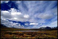 Tundra in fall color, lake, and sky dominated by large clouds. Alaska, USA ( color)