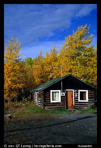 Log cabin and trees in fall color. Alaska, USA