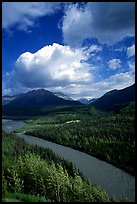 Matanuska River and Chugach mountains in summer. Alaska, USA ( color)