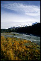 Aspens in fall colors,  Chugach mountains, winding river. Alaska, USA ( color)
