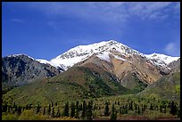 Mineralized Sheep Mountain in the Talkeetna Range. Alaska, USA ( color)