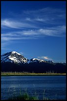 Mountains and Turnagain Arm near Portage. Alaska, USA ( color)