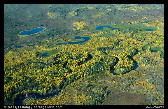 Aerial view of meandering river in autumn. Alaska, USA