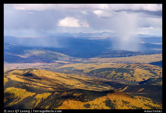 Aerial view of autumn forest with rain. Alaska, USA