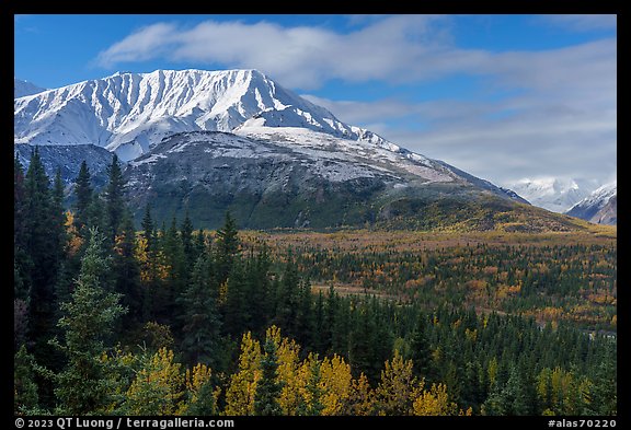 Bivouac Peak and Delta River valley. Alaska, USA (color)