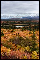 Tundra and Granite Mountain in autumn, Hayes Range. Alaska, USA ( color)