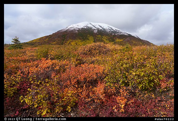 Donnelly Dome in autumn. Alaska, USA (color)
