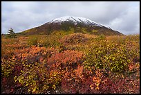 Donnelly Dome in autumn. Alaska, USA ( color)
