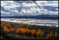 Tanana River from Alaska Range Viewpoint. Alaska, USA ( color)