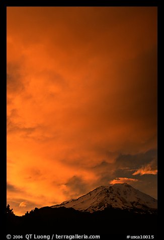 Clouds dramatically colored at sunset above Mt Shasta. California, USA (color)