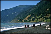 Backpackers on black sand beach and King Range, Lost Coast. California, USA (color)