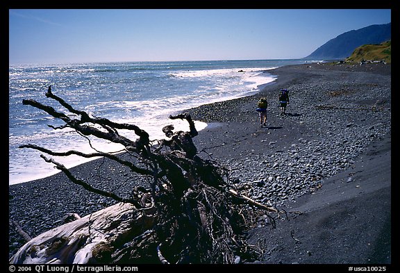 Driftwood and hikers, Lost Coast. California, USA