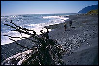 Driftwood and hikers, Lost Coast. California, USA (color)