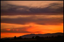 Sunset, Sacramento Valley. California, USA ( color)