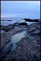 Tidal pools, sunset, Weston Beach. Point Lobos State Preserve, California, USA