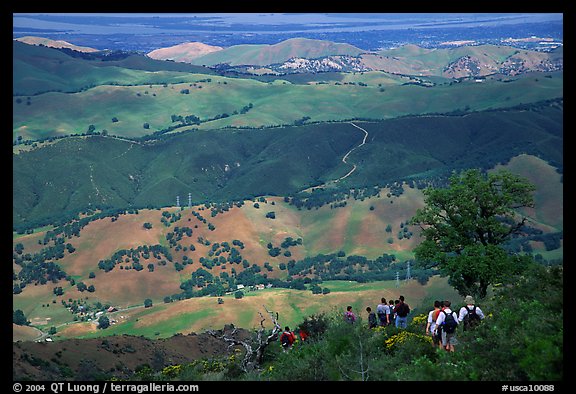 Group of Hikers descending slopes, Mt Diablo State Park. California, USA