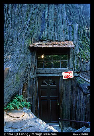 Entrance of the World Famous Tree House, near Leggett. California, USA