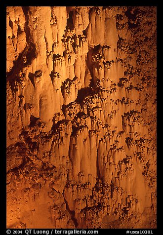 Rare cave formations, Mitchell caverns. Mojave National Preserve, California, USA (color)