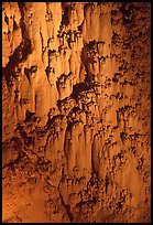 Rare cave formations, Mitchell caverns. Mojave National Preserve, California, USA ( color)