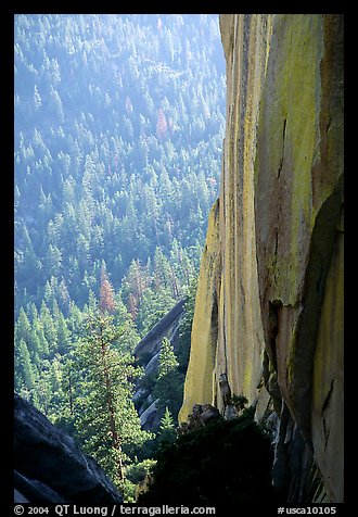 Rock wall and forest, the Needles. Giant Sequoia National Monument, Sequoia National Forest, California, USA (color)