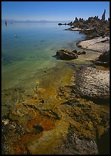 Colorful shore and tufa, mid-day. Mono Lake, California, USA (color)