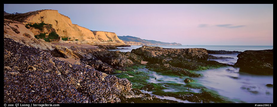 California seascape with mussels and cliffs. Point Reyes National Seashore, California, USA