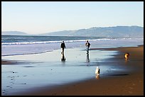 People and dogs strolling on beach near Fort Funston,  late afternoon, San Francisco. San Francisco, California, USA
