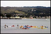 Sea kayakers, Pillar point harbor. Half Moon Bay, California, USA ( color)