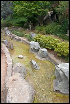 Stream, Japanese Friendship Garden. San Jose, California, USA ( color)