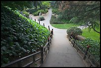 Alley in Japanese Friendship Garden. San Jose, California, USA ( color)