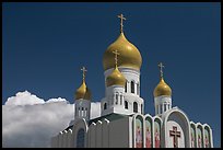 Russian Cathedral Holy Virgin. San Francisco, California, USA ( color)