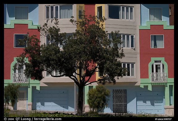 Tree and colorful house. San Francisco, California, USA (color)