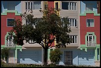 Tree and colorful house. San Francisco, California, USA