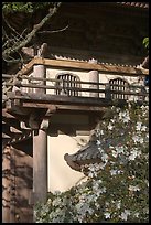 Entrance of Japanese Garden, Golden Gate Park. San Francisco, California, USA ( color)