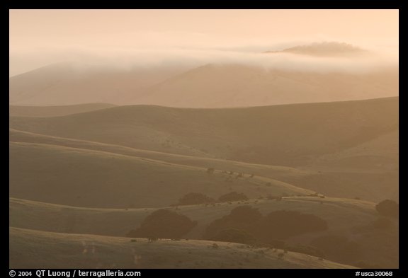 Rolling Hills and fog, sunrise, Fort Ord National Monument. California, USA