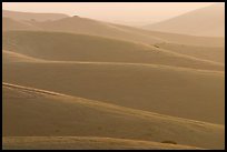 Ridglines, sunrise, Fort Ord National Monument. California, USA (color)