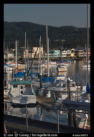Boats and Fisherman's Wharf, afternoon. Monterey, California, USA (color)