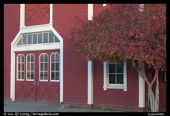 Door and tree in fall color, Red Barn. Stanford University, California, USA (color)