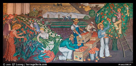 Orange-harvesting  scene depicted in a fresco inside Coit Tower. San Francisco, California, USA (color)