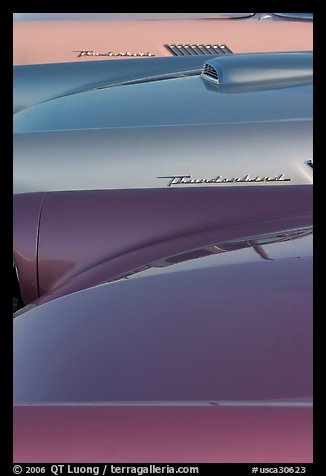Thunderbird classic cars. Santa Cruz, California, USA (color)