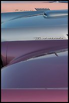 Thunderbird classic cars. Santa Cruz, California, USA ( color)