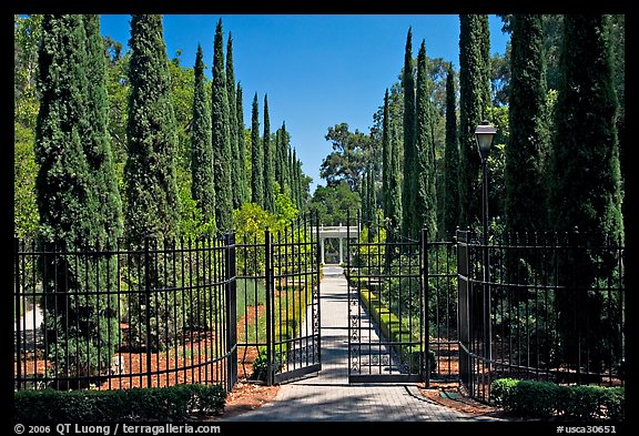 Gates, cypress and path, Villa Montalvo. Saragota,  California, USA