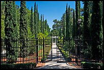 Gates, cypress and path, Villa Montalvo. Saragota,  California, USA