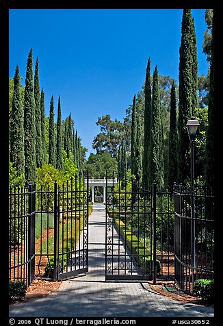 Gates in cypress trees in garden, Villa Montalvo. Saragota,  California, USA