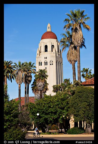 Hoover Tower seen from the Main  Quad, late afternoon. Stanford University, California, USA (color)